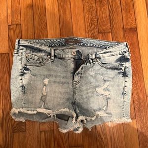 Torrid Distressed Shorts